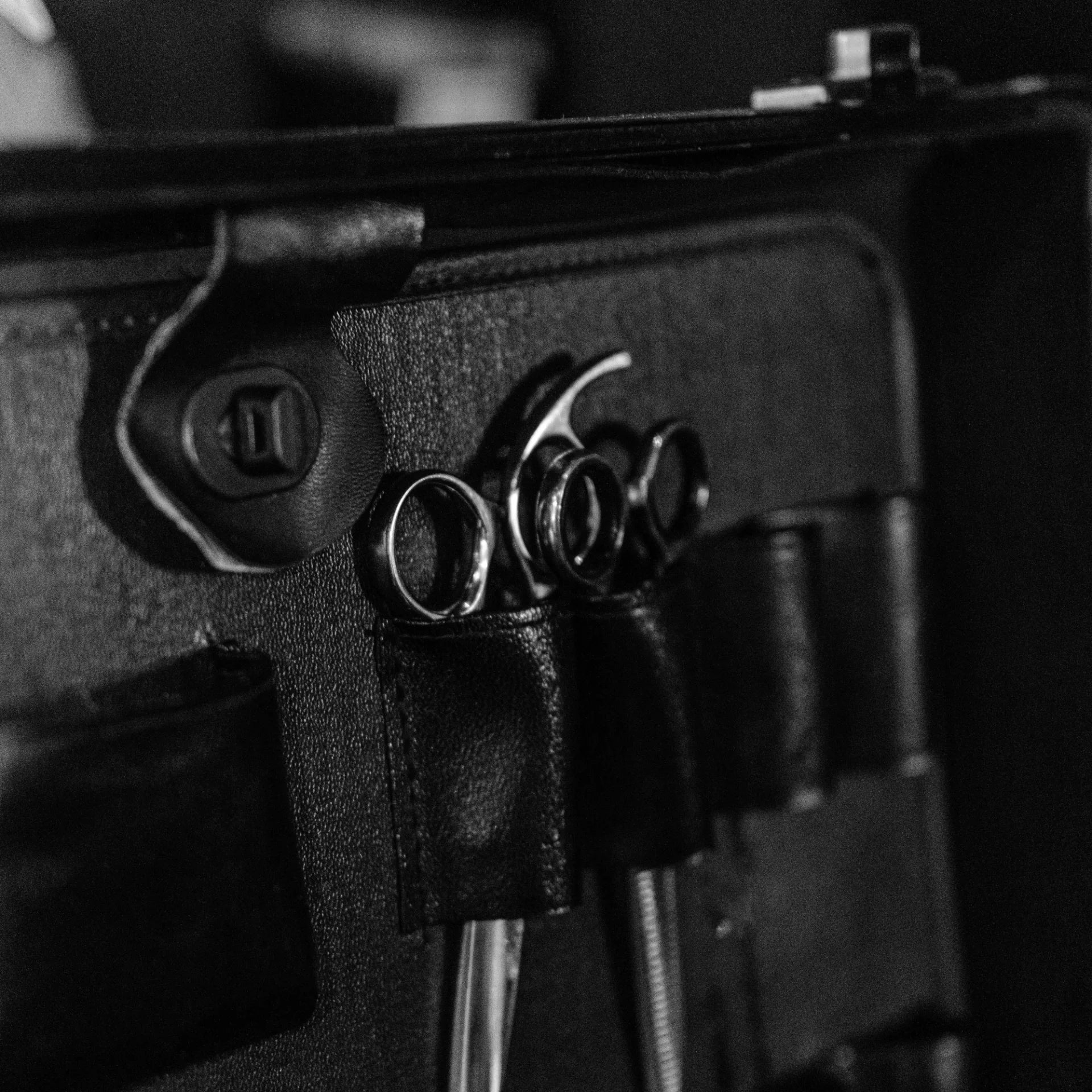 Scissors in a carrying bag